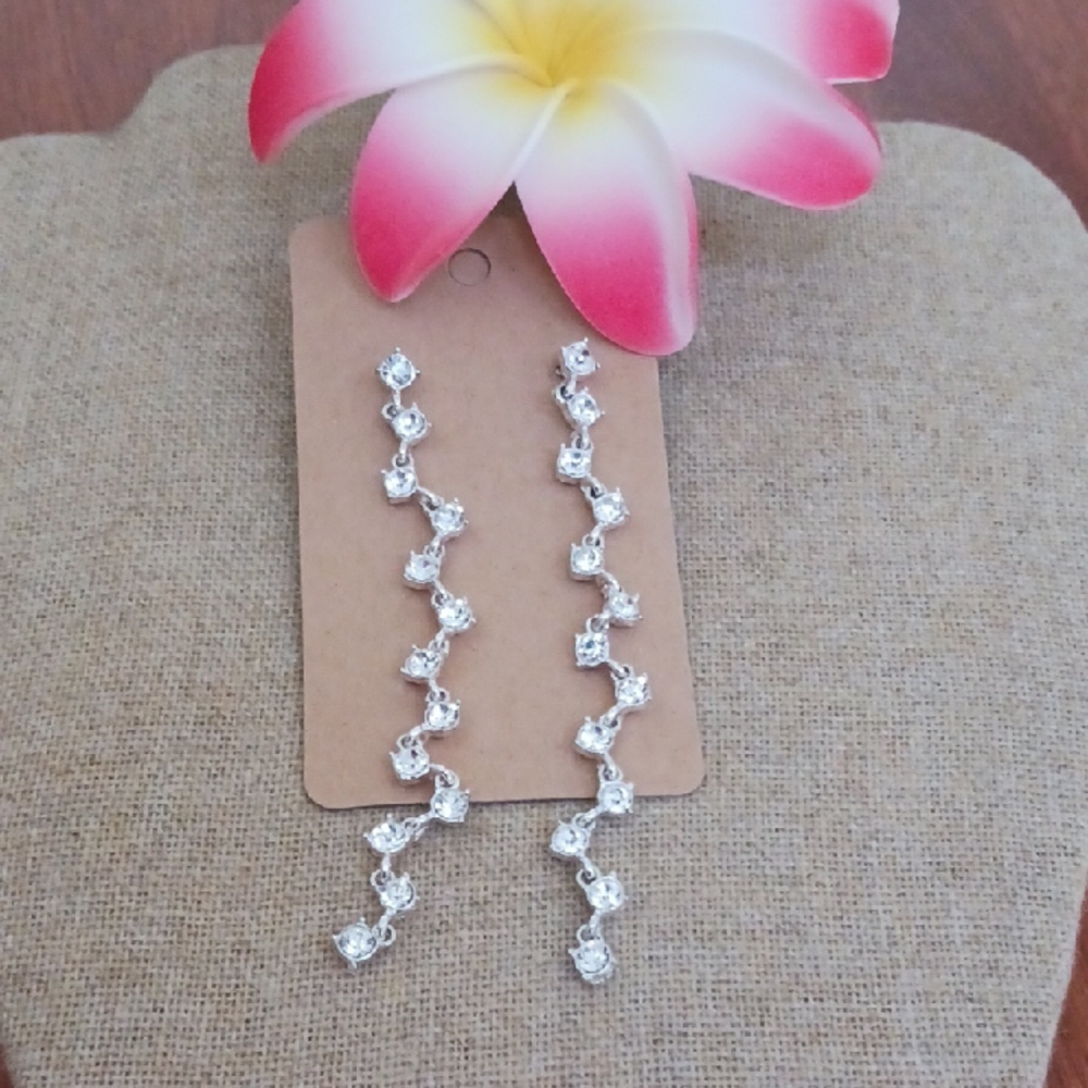 Silver Long Earrings - Picture 3 of 8